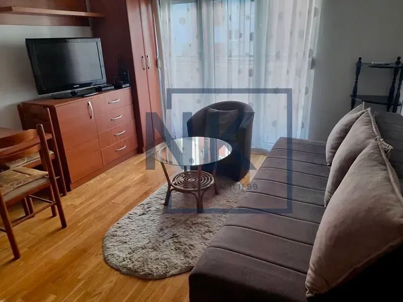 Rent, studio apartment, 26m², Zabjelo, Podgorica