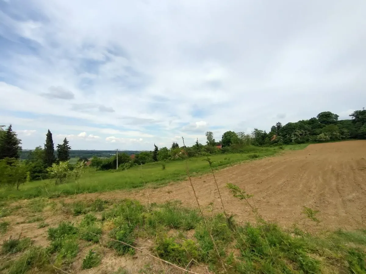 Sale, land lot, 7600m², Ledinci, Petrovaradin