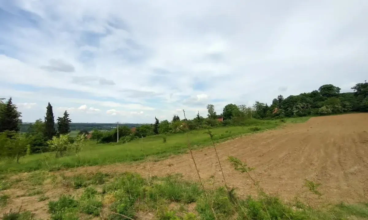 Prodaja, plac, 7600m², Ledinci, Petrovaradin