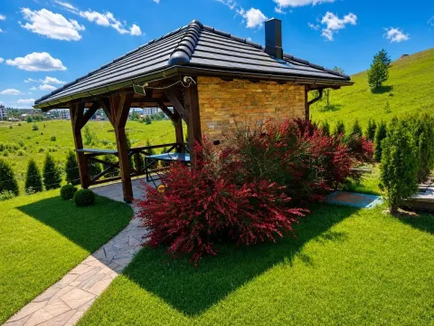 Prodaja, kuća, 270m², Zlatibor, Srbija - image 6