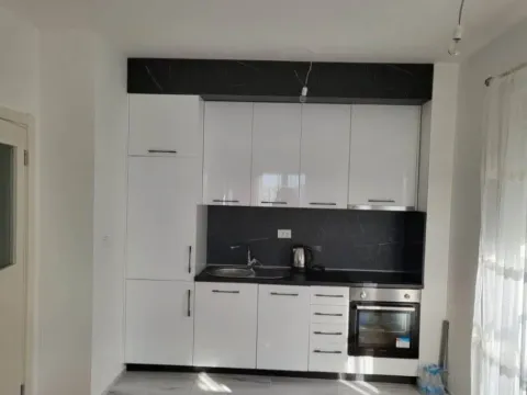 Izdavanje, jednosoban stan, 45m², Stari Aerodrom, Podgorica - image 2