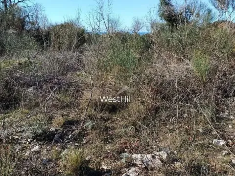 Prodaja, plac, 10076m², Utjeha, Bar - image 6