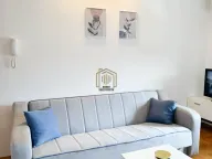 Izdavanje, jednosoban stan, 40m², Stari Aerodrom, Podgorica - image 14