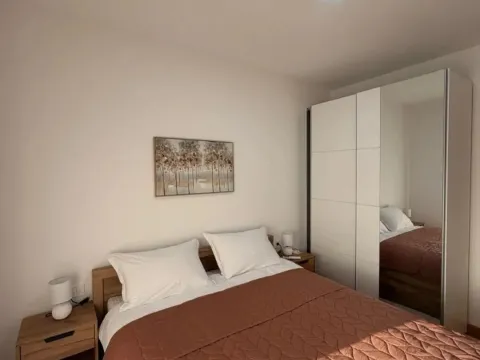 Rent, one bedroom apartment, 45m², New City, Podgorica - image 7