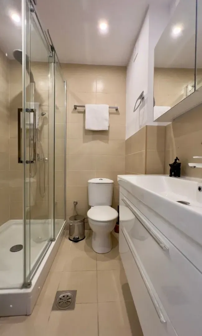 Compact bathroom with a walk-in shower, vanity, and toilet.