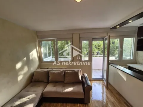 Izdavanje, dvosoban stan, 45m², Novi Beograd Sve Podlokacije, Beograd