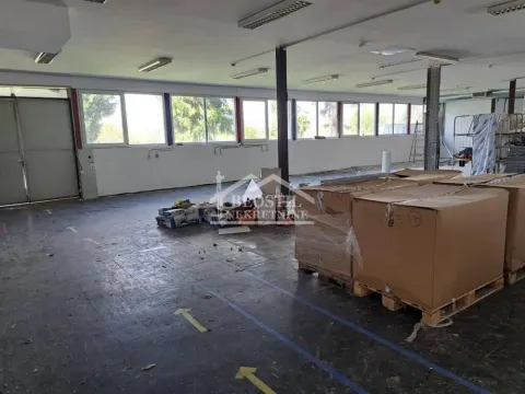 Izdavanje, poslovni prostor, 701m², Batajnica, Beograd - image 3