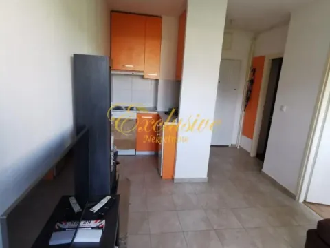 Rent, one bedroom apartment, 28m², Šumice, Beograd - image 10