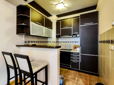 Izdavanje, jednosoban stan, 54m², Kod Big Fashion-a, Podgorica - image 5