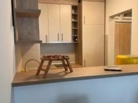 Izdavanje, jednosoban stan, 45m², Zemun Sve Podlokacije, Beograd - image 9