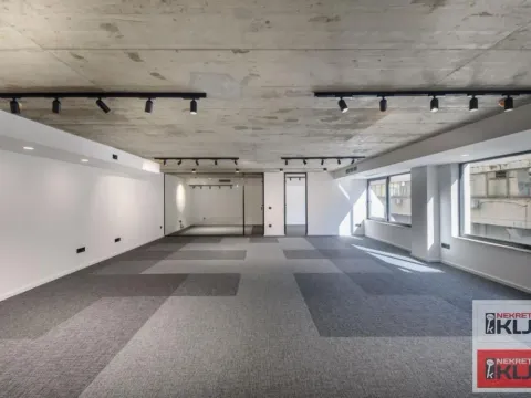 Izdavanje, poslovni prostor, 279m², Bulevar Oslobodjenja, Novi Sad Sve Podlokacije - image 18