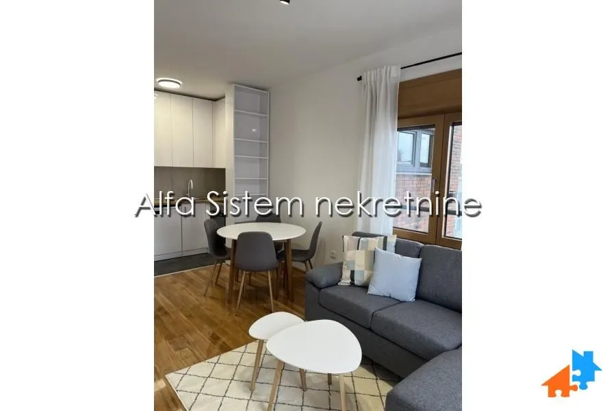 Izdavanje, dvosoban stan, 43m², Vračar Sve Podlokacije, Beograd
