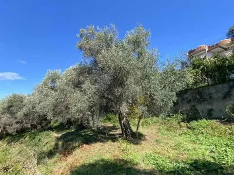 Prodaja, plac, 3770m², Zaljevo, Bar - image 6