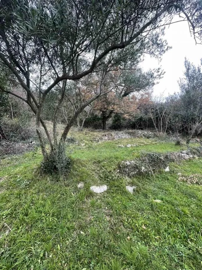 Prodaja, plac, 700m², Jošica, Herceg Novi