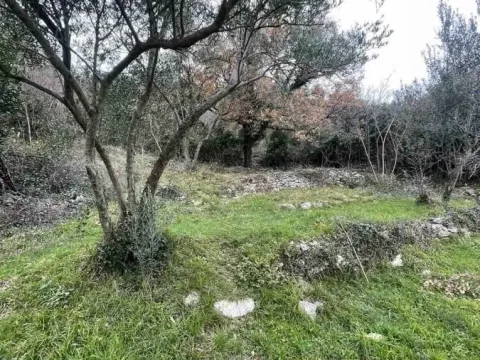 Sale, land lot, 700m², Jošica, Herceg Novi - image 3