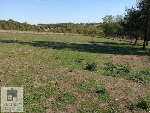 Sale, land lot, 6000m², Draževac, Obrenovac - image 6