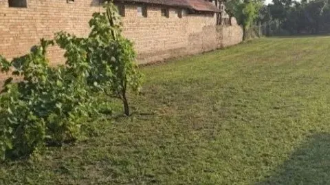 Prodaja, kuća, 84m², Žabalj, Srbija - image 9