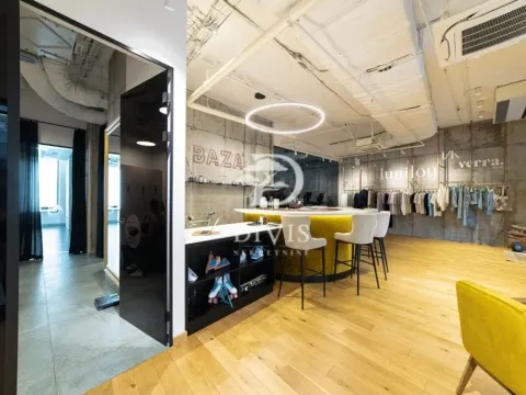 Prodaja, poslovni prostor, 289m², Donji Dorćol, Dorćol Sve Podlokacije - image 9