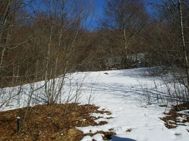 Prodaja, plac, 100000m², Kolašin, Crna Gora
