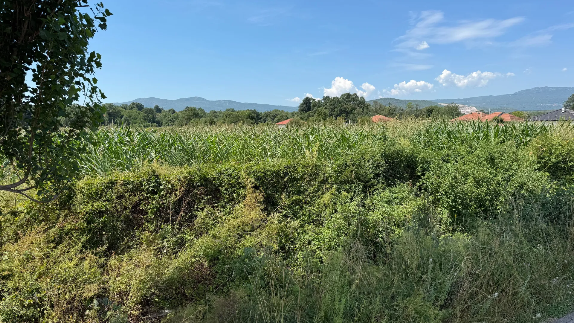 Prodaja, plac, 4300m², Klikovače, Danilovgrad