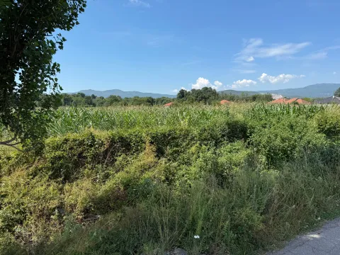 Prodaja, plac, 4300m², Klikovače, Danilovgrad - image 2
