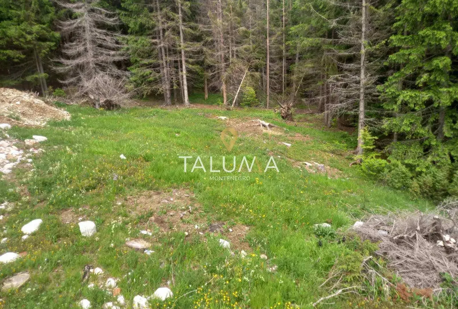 Prodaja, plac, 233m², Centar, Žabljak