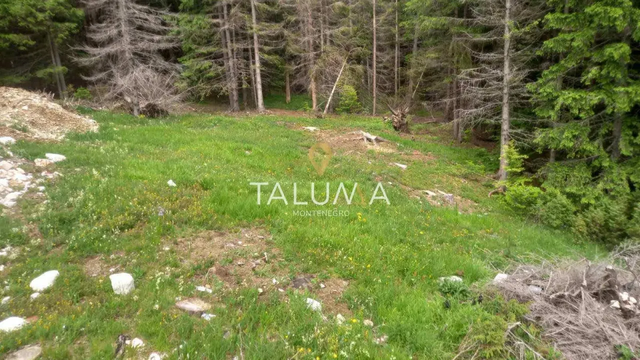 Prodaja, plac, 233m², Centar, Žabljak