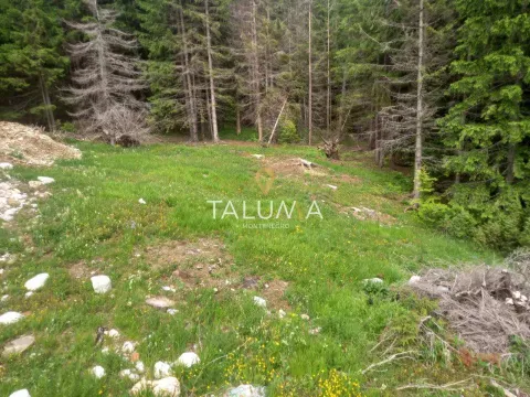 Prodaja, plac, 233m², Centar, Žabljak - image 1