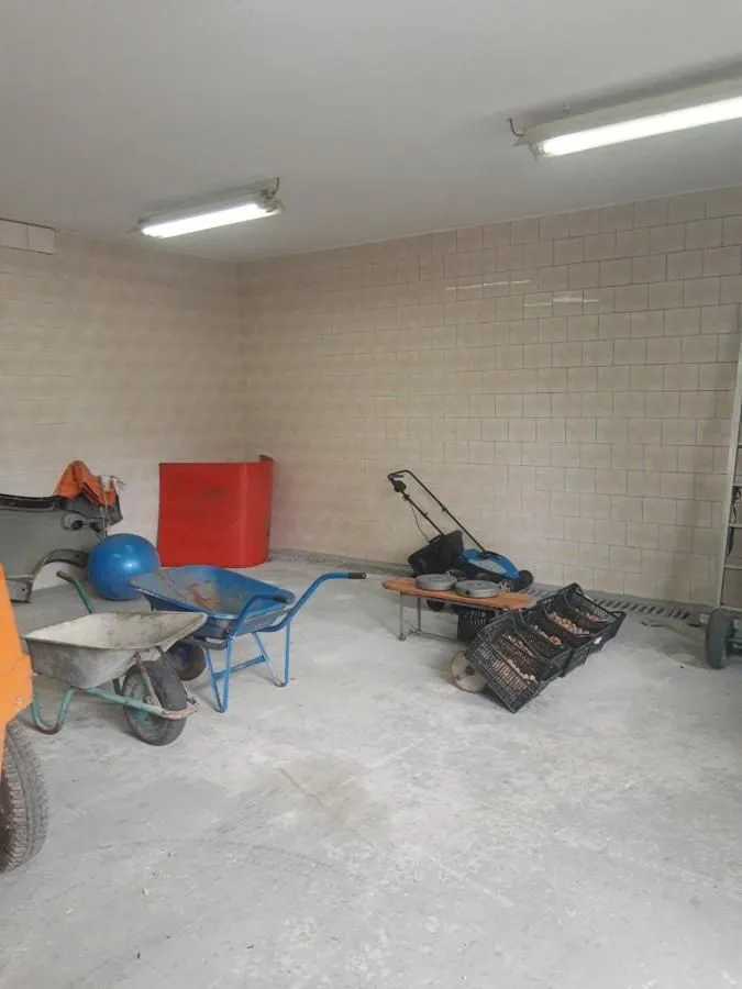 Rent, office space, 140m², Zemun Sve Podlokacije, Beograd