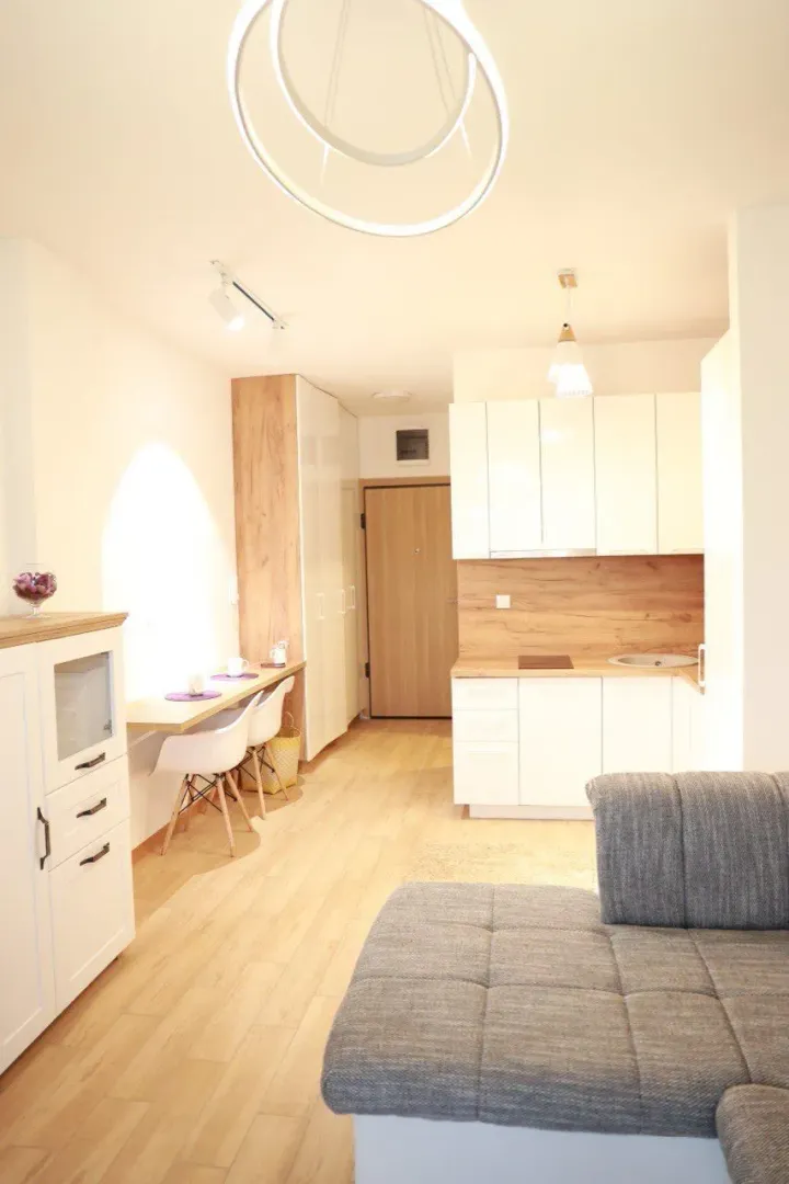 View of the living room with kitchen and dining area.