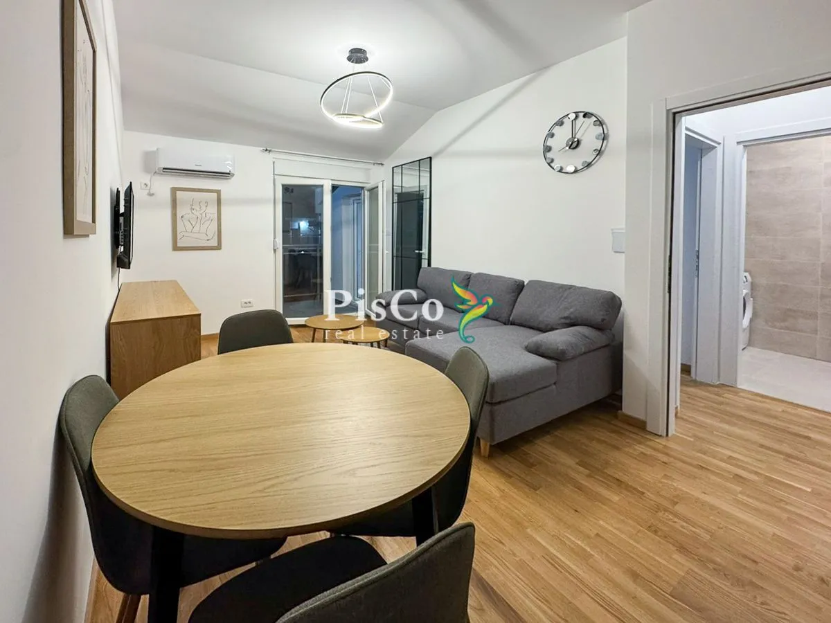 Rent, one bedroom apartment, 46m², Zagorič, Podgorica