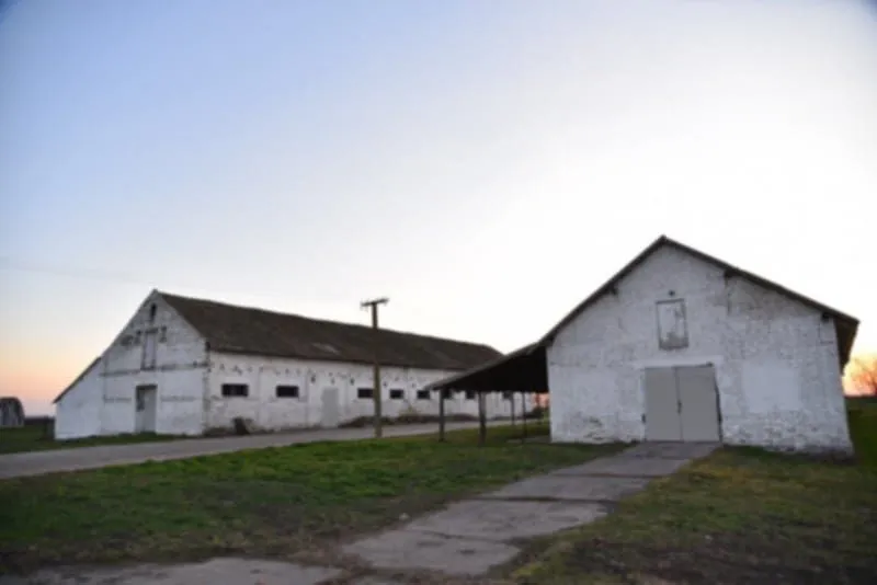 Prodaja, plac, 98000m², Vrbas, Novi Sad