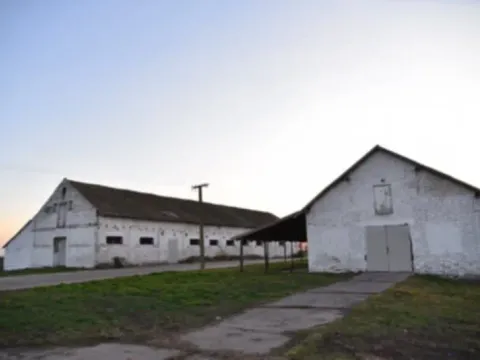 Prodaja, plac, 98000m², Vrbas, Novi Sad - image 10