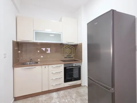 Izdavanje, jednosoban stan, 45m², Stari Aerodrom, Podgorica - image 4