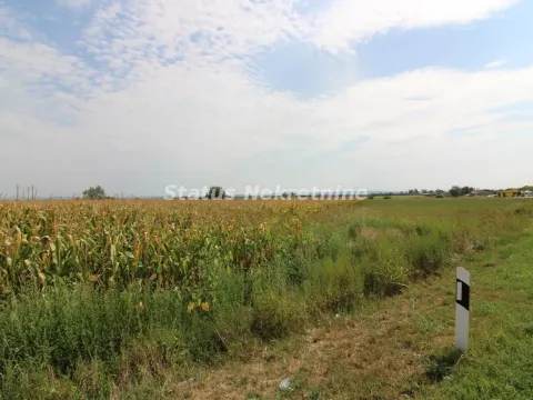 Prodaja, plac, 9213m², Bela Palanka, Srbija - image 3