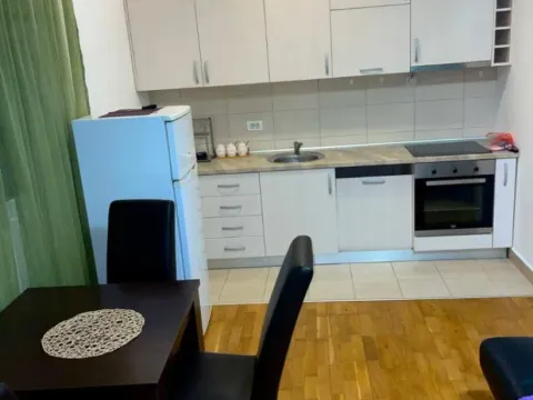 Izdavanje, jednosoban stan, 45m², Zabjelo, Podgorica - image 3