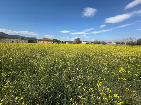 Zemljište in Donji Kokoti