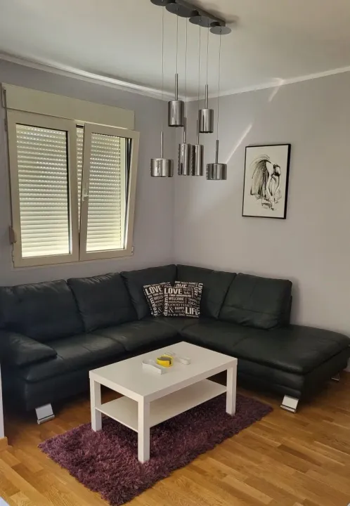 Izdavanje, jednosoban stan, 40m², Blok 6, Podgorica