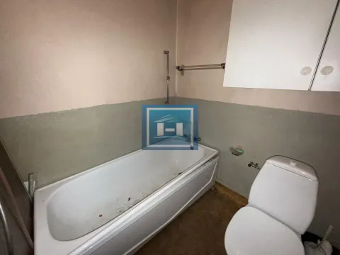 Prodaja, kuća, 500m², Miloševo, Jagodina - image 64