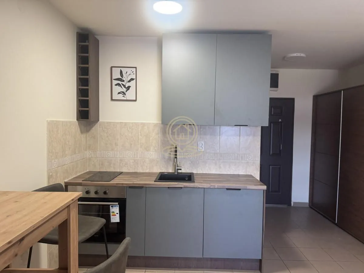 Izdavanje, jednosoban stan, 30m², Adamovićevo Naselje, Novi Sad Sve Podlokacije