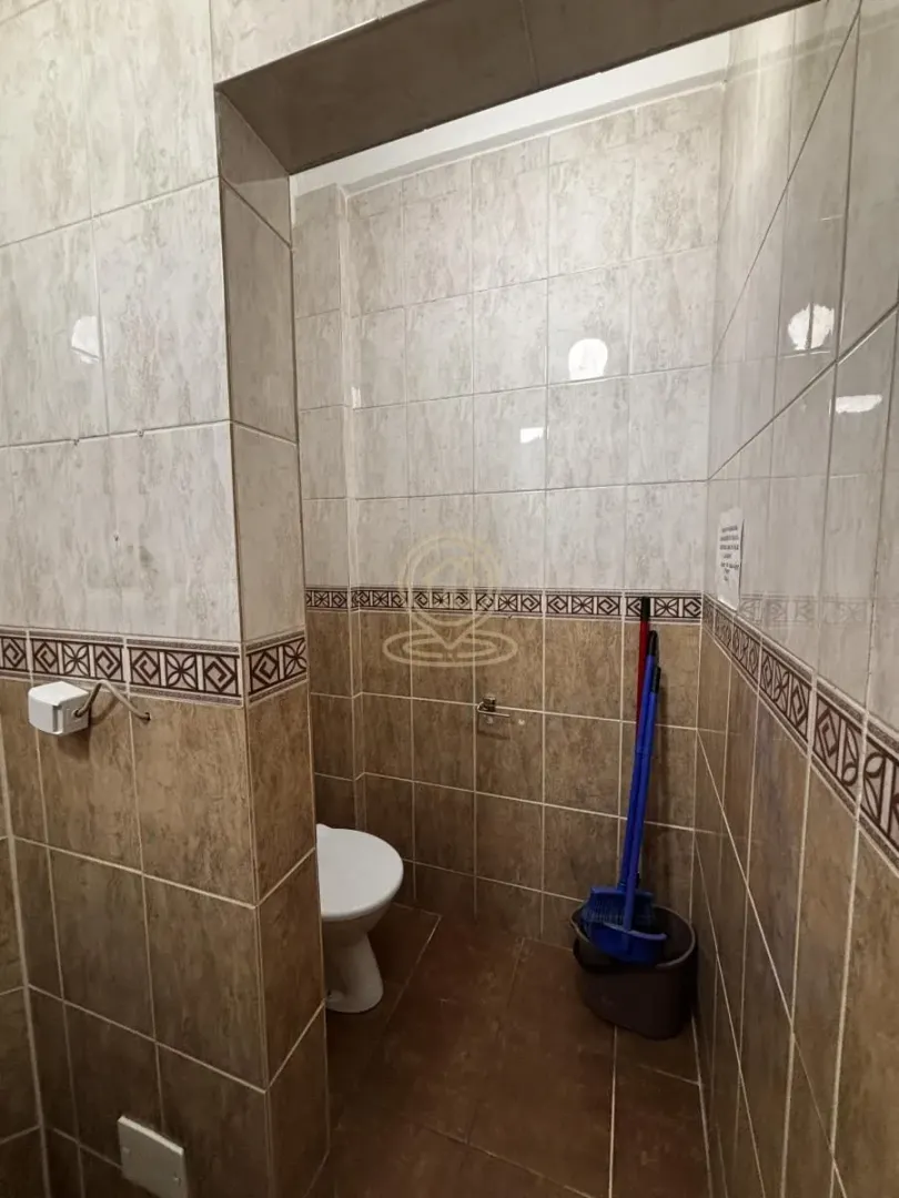 Smaller bathroom tiled with ceramic tiles, featuring a toilet bowl and cleaning supplies.