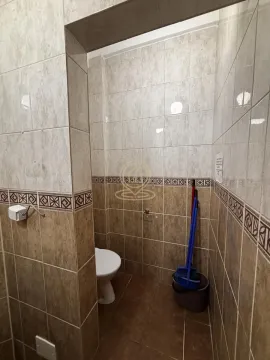 Smaller bathroom tiled with ceramic tiles, featuring a toilet bowl and cleaning supplies. - image 10