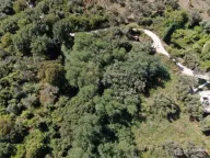 Prodaja, plac, 14000m², Kumbor, Herceg Novi - image 2