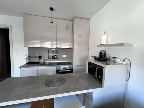 Modern kitchen with light-toned cabinetry and a breakfast bar. - image 8