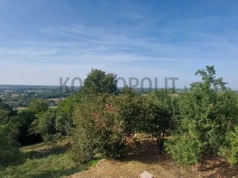 Prodaja, kuća, 109m², Ćelije, Lajkovac - image 11