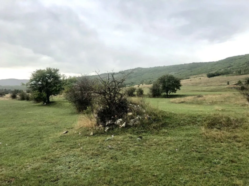 Prodaja, plac, 162000m², Lukovo, Nikšić