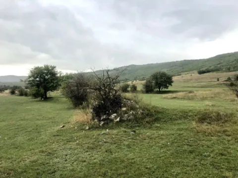 Sale, land lot, 162000m², Lukovo, Nikšić - image 7