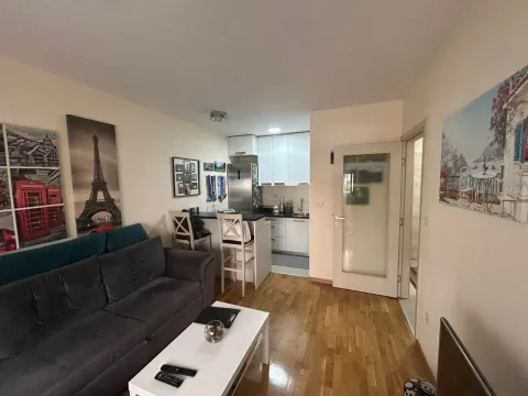 Prodaja, jednosoban stan, 38m², Zabjelo, Podgorica - image 3