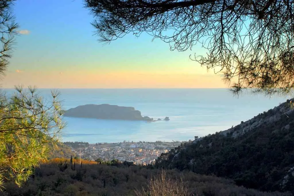 Panoramski pogled na more i grad kroz krošnje drveća.