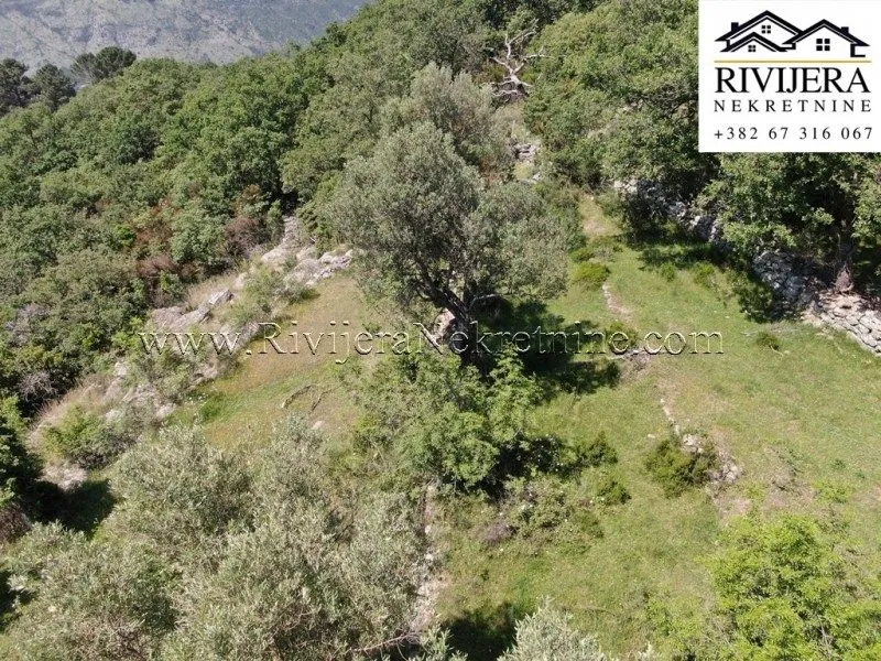 Prodaja, plac, 800m², Sušćepan, Herceg Novi